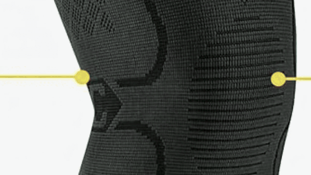 Visual explanation of the knee joint and support